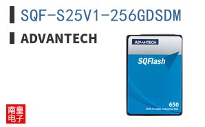 SQF-S25V1-256GDSDM
