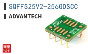 SQFFS25V2-256GDSCC