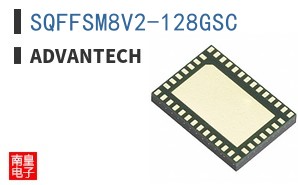 SQFFSM8V2-128GSC