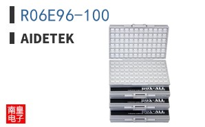 R06E96-100