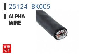 25124 BK005