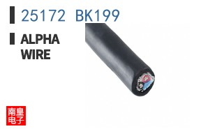 25172 BK199