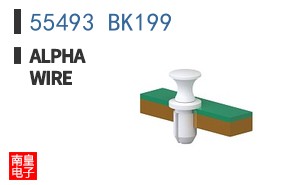 55493 BK199