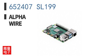 652407 SL199