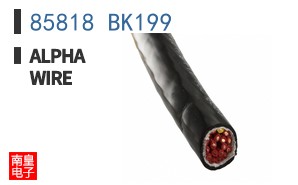 85818 BK199