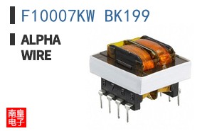 F10007KW BK199