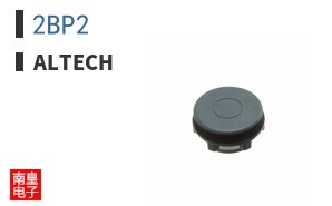 2BP2