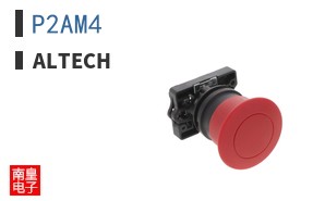 P2AM4