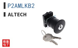 P2AMLKB2