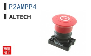 P2AMPP4