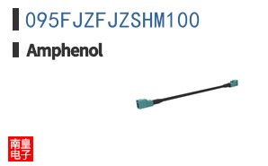 095FJZFJZSHM100
