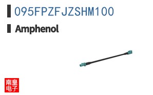 095FPZFJZSHM100