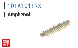101A10119X