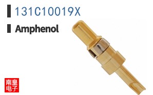 131C10019X