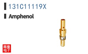 131C11119X