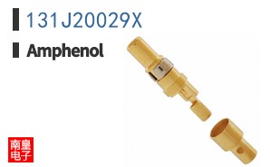 131J20029X