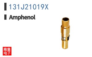 131J21019X