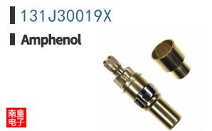 131J30019X
