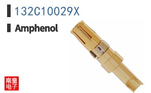 132C10029X