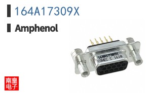 164A17309X