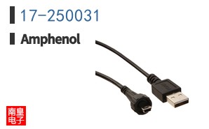 17-250031