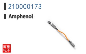 210000173