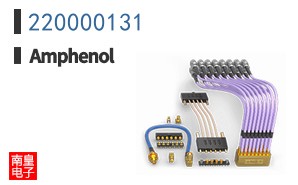 220000131