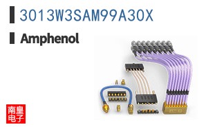3013W3SAM99A30X