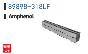 89898-318LF