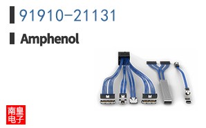 91910-21131