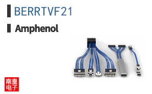 BERRTVF21