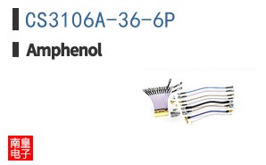 CS3106A-36-6P