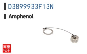 D3899933F13N
