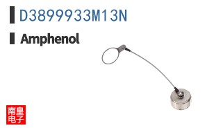 D3899933M13N