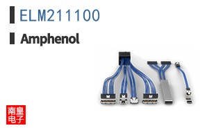 ELM211100