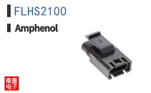 FLHS2100