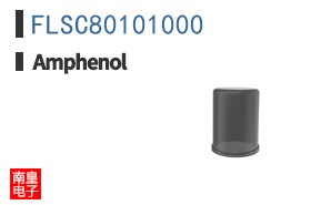 FLSC80101000