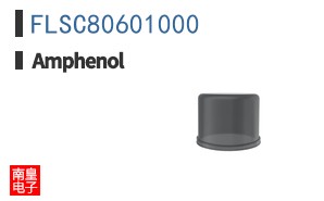 FLSC80601000