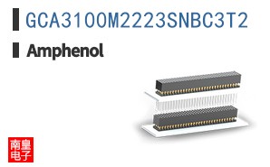 GCA3100M2223SNBC3T2
