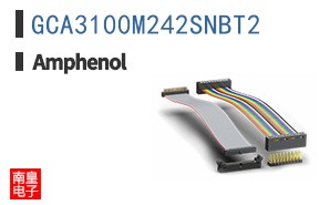 GCA3100M242SNBT2
