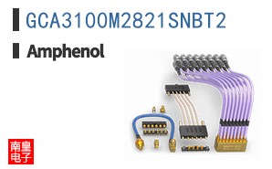 GCA3100M2821SNBT2