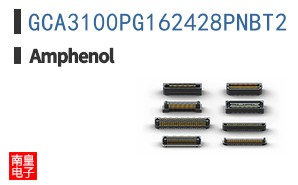GCA3100PG162428PNBT2