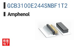 GCB3100E244SNBF1T2