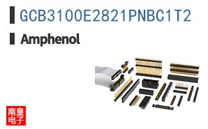GCB3100E2821PNBC1T2