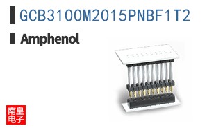 GCB3100M2015PNBF1T2