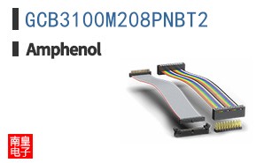 GCB3100M208PNBT2