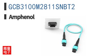 GCB3100M2811SNBT2
