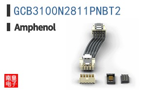 GCB3100N2811PNBT2