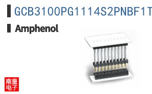 GCB3100PG1114S2PNBF1T2