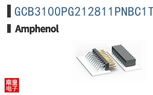 GCB3100PG212811PNBC1T2
